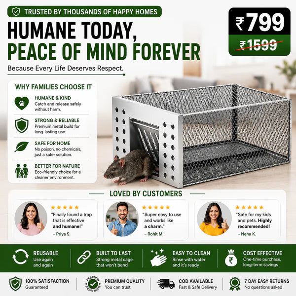 Humane Live Catch & Release Mouse Trap