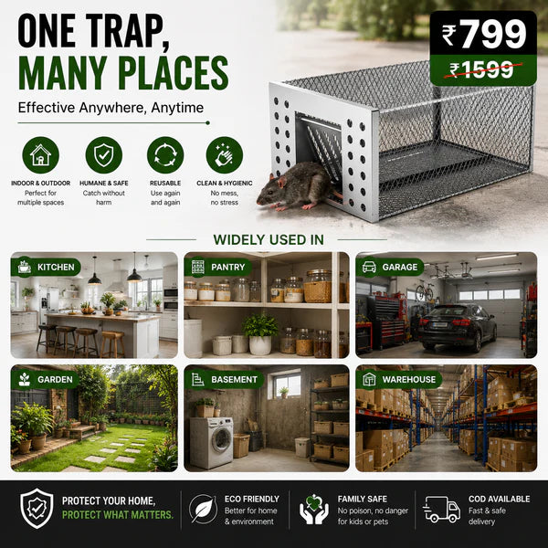 Humane Live Catch & Release Mouse Trap