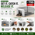 Humane Live Catch & Release Mouse Trap