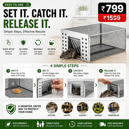 Humane Live Catch & Release Mouse Trap