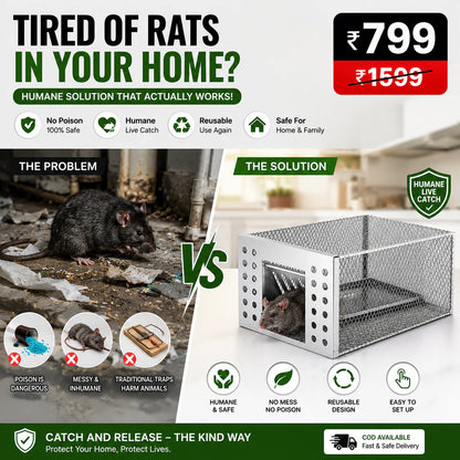 Humane Live Catch & Release Mouse Trap